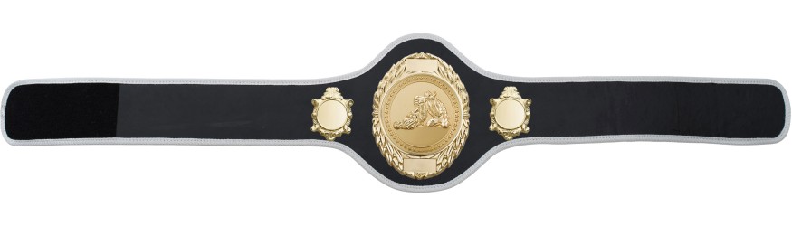 JIU JITSU CHAMPIONSHIP BELT-PRO286/G/JJG-10+ COLOURS
